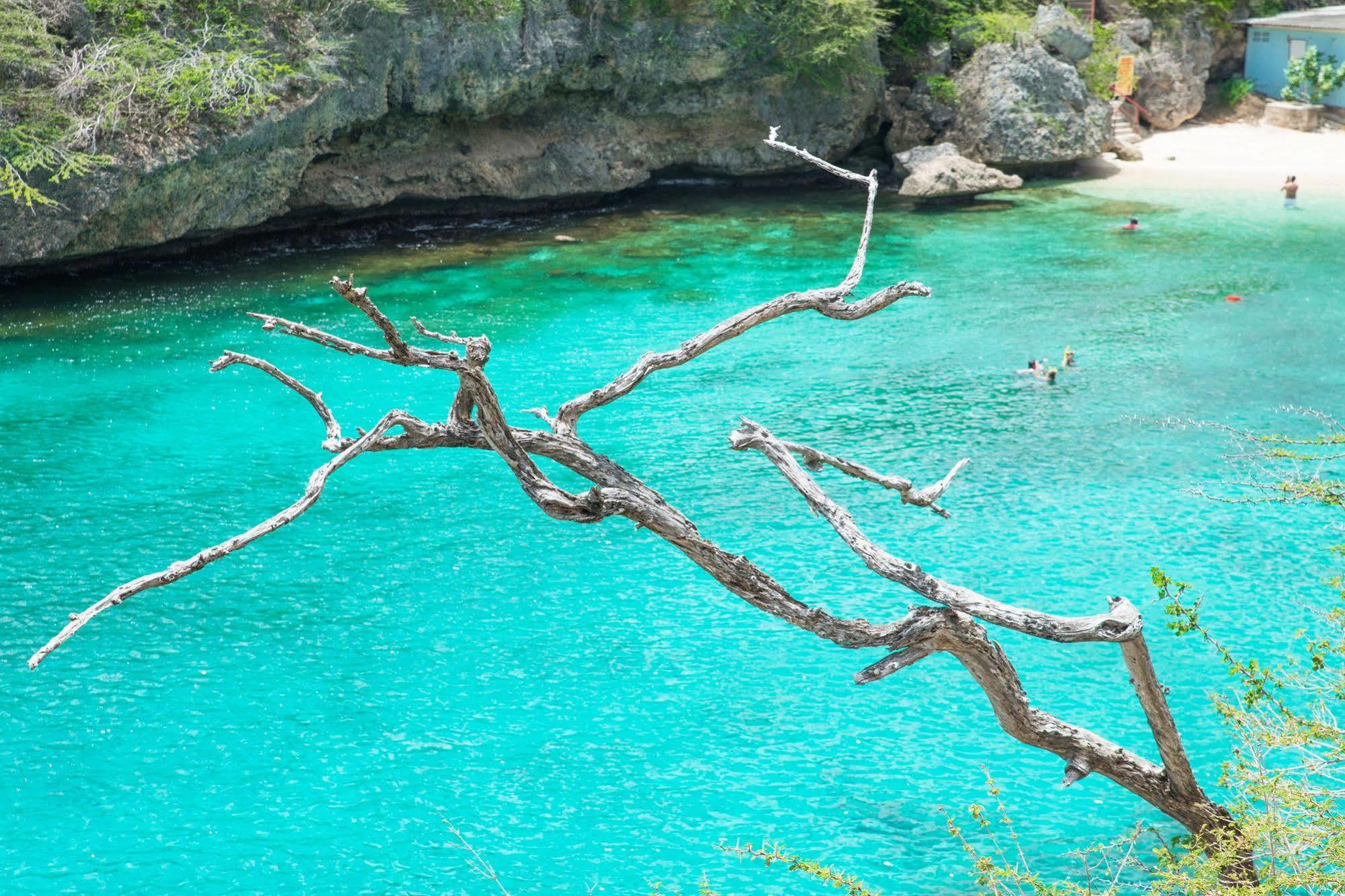 Lagun Blou Dive And Beach Resort Extérieur photo